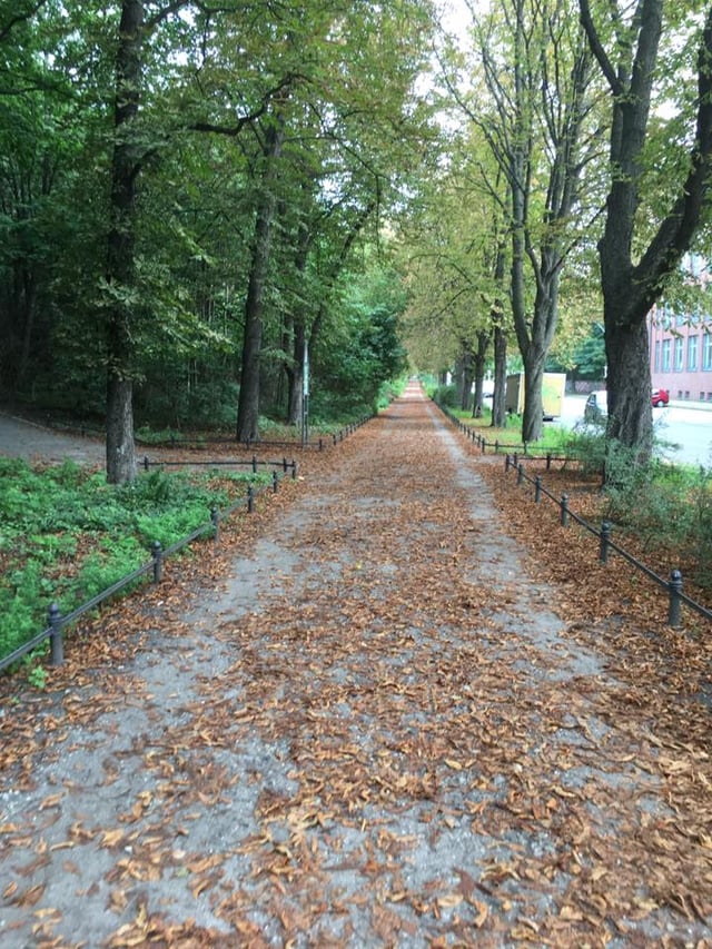 Alley circling around Humboldthain park in which the bunker is situated Alley circling around Humboldthain park in which the bunker is situated