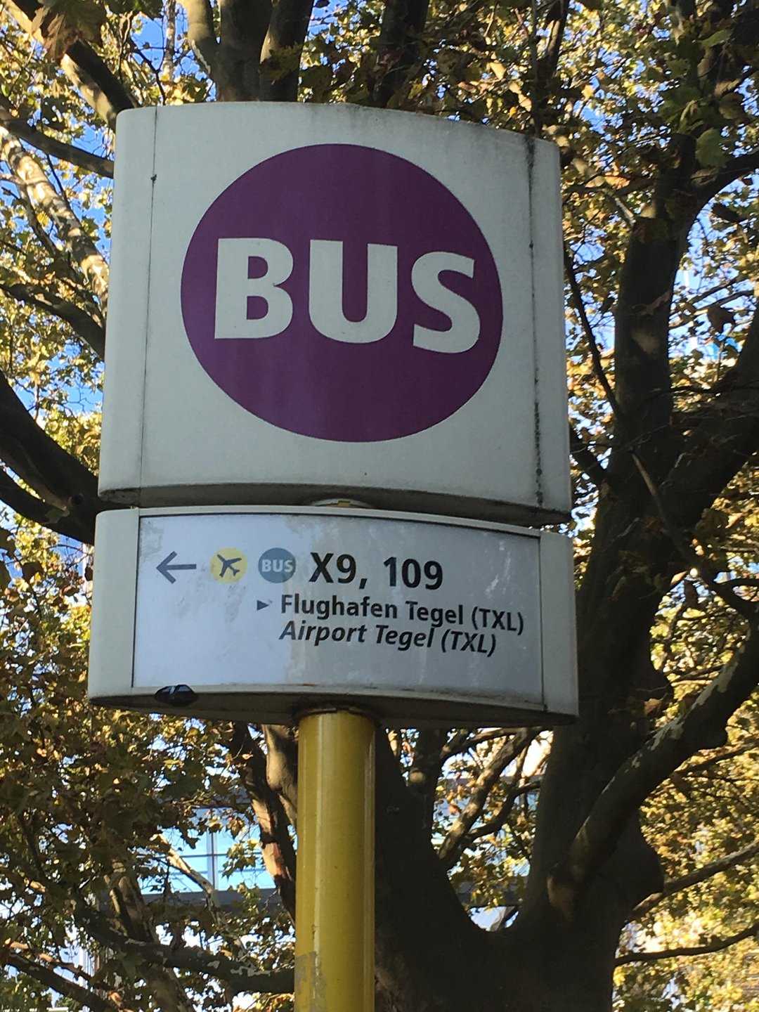 Berlin Tegel to Zoologischer Garten Bus 