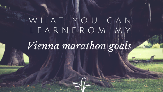 Vienna marathon goals