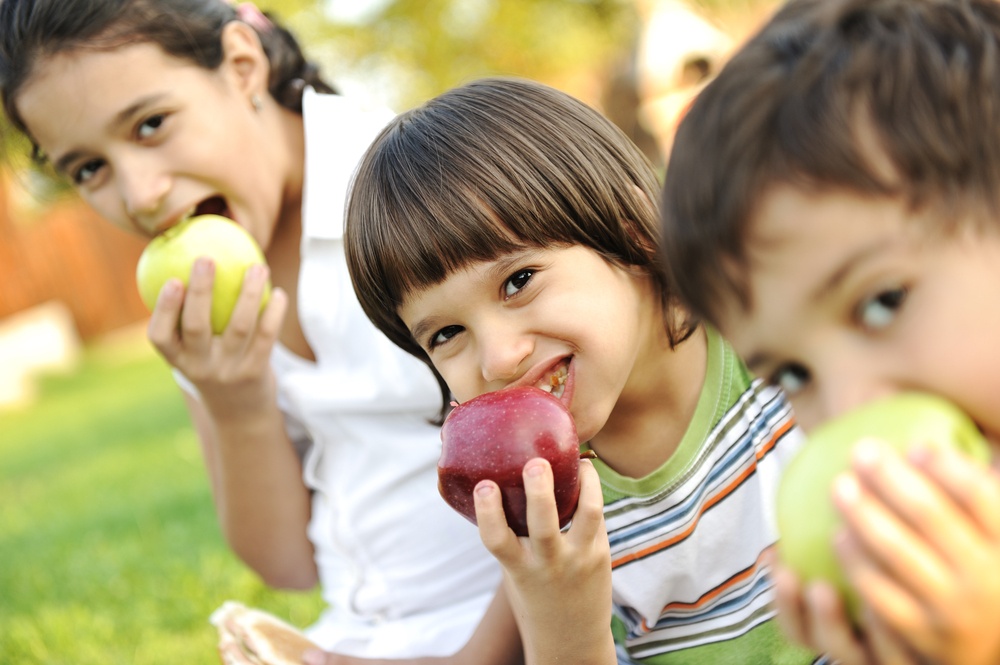 12 delicious snack ideas for fitness
