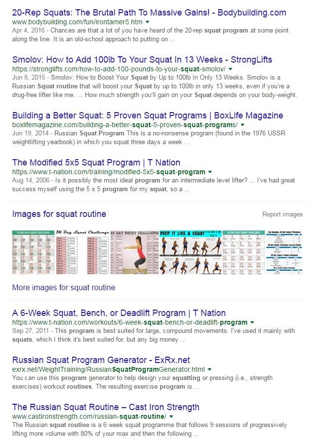 Squat routine google search example