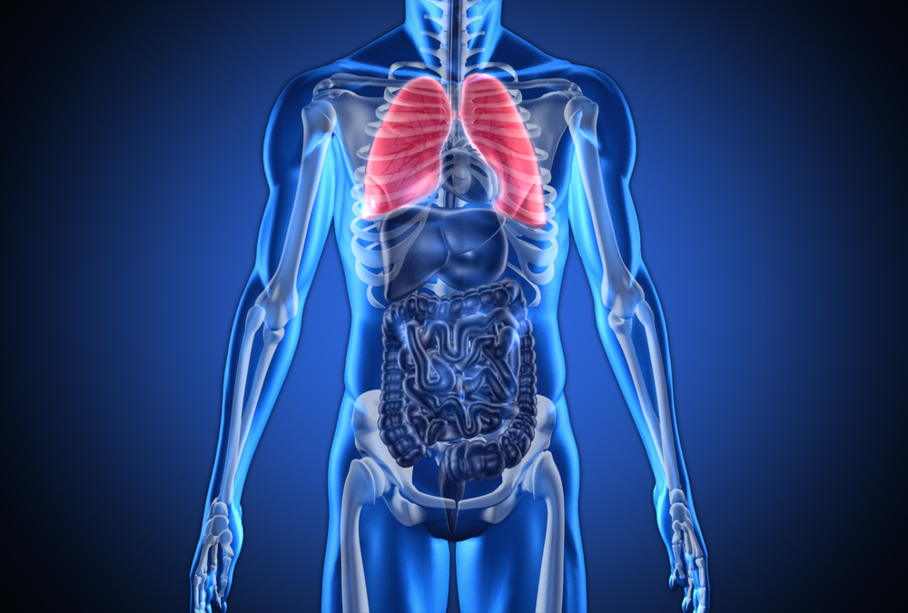 How powerlifting changes your body