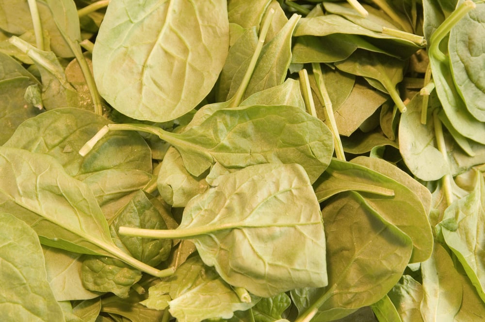 Fresh spinach