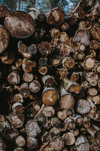Wood